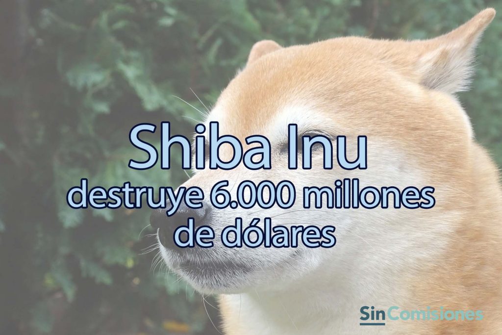 Por esto el fundador de Shiba Inu ha quemado 6.000 millones de dólares