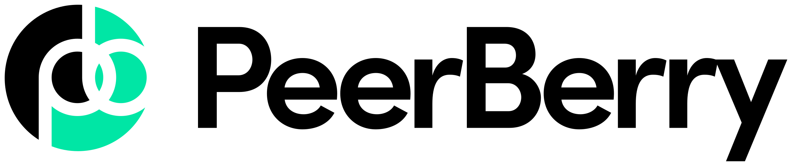 logo peerberry